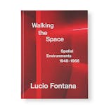 WALKING THE SPACE